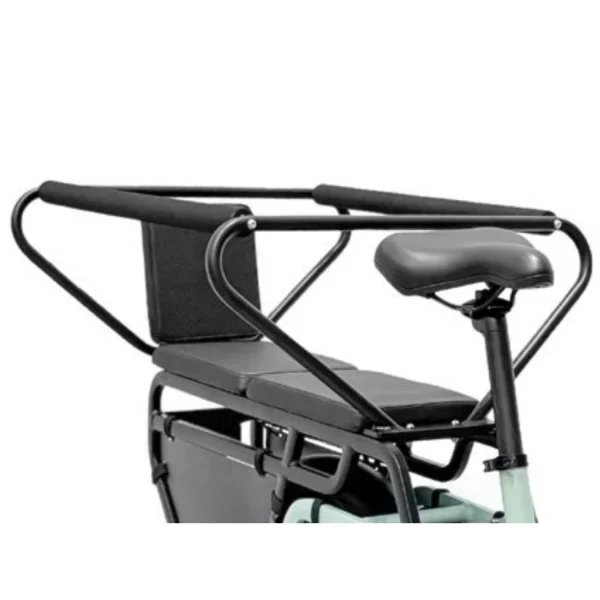 E-BIKE CARGO PLATUM VAN 48V - immagine 2