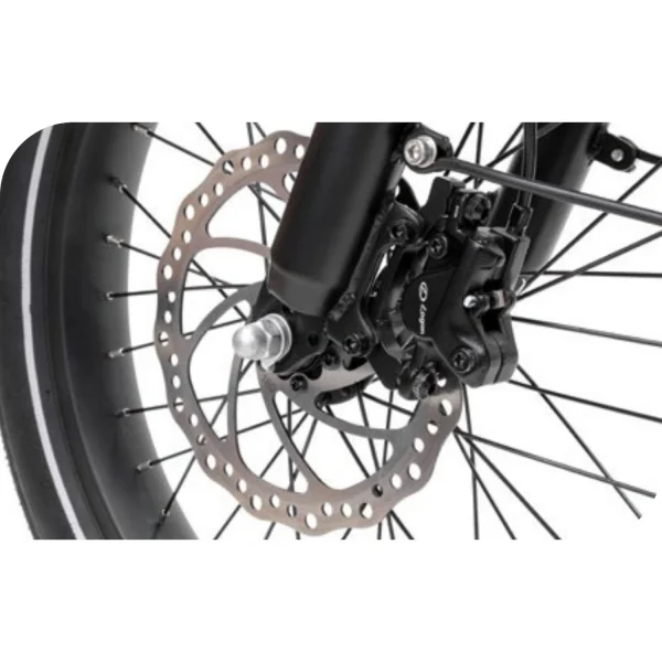 E-BIKE CARGO PLATUM VAN 48V - immagine 4