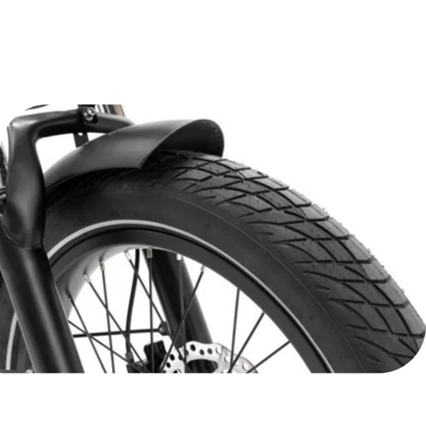 E-BIKE CARGO PLATUM VAN 48V - immagine 5