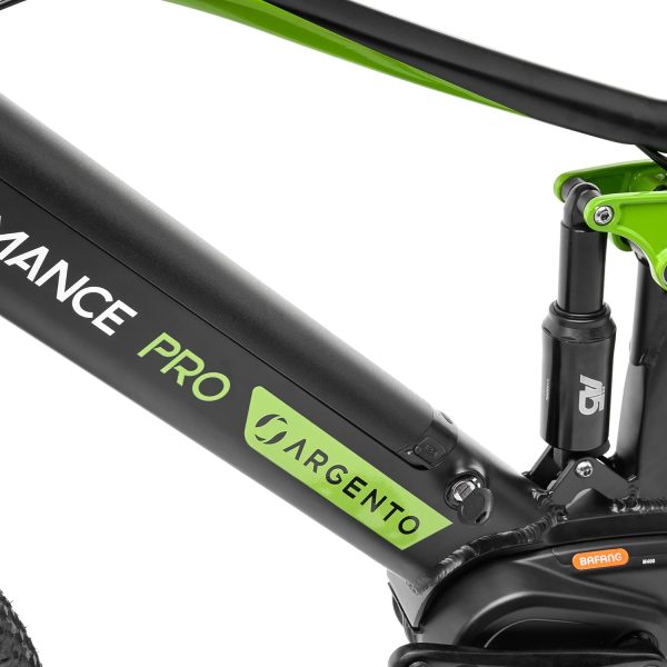 ARGENTO PERFORMANCE PRO - immagine 4