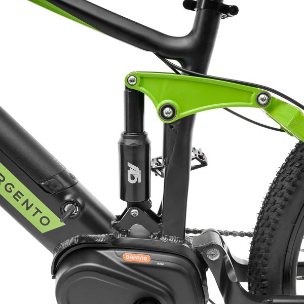 ARGENTO PERFORMANCE PRO - immagine 5