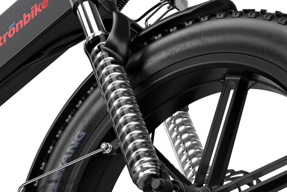 ELETRONBIKE OD20 - immagine 4