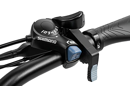 ELETRONBIKE OD20 - immagine 2