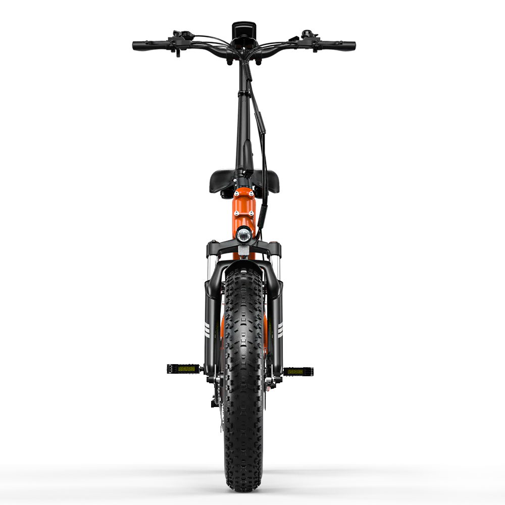 ELETRONBIKE OD20 - immagine 8