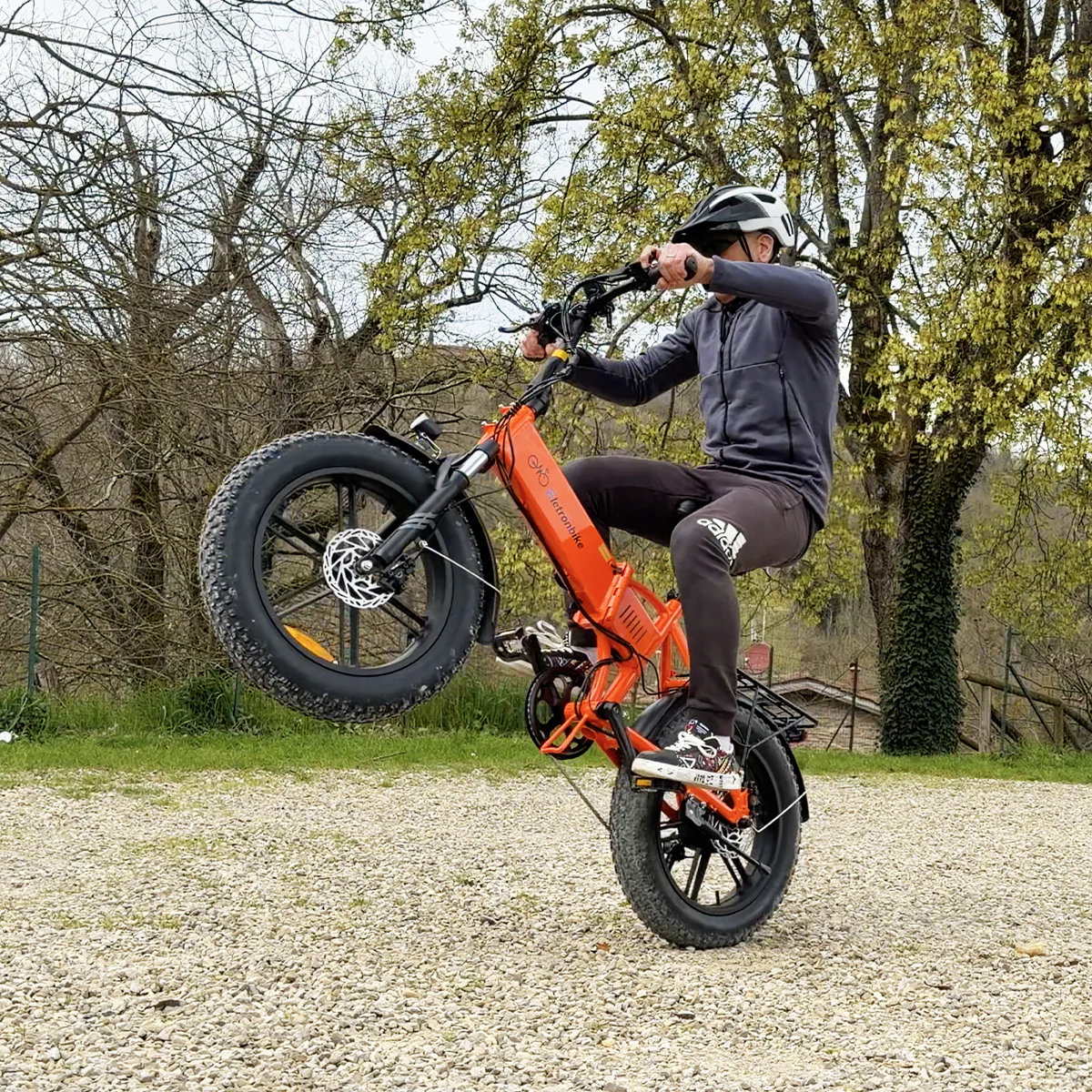 ELETRONBIKE OD20 - immagine 9